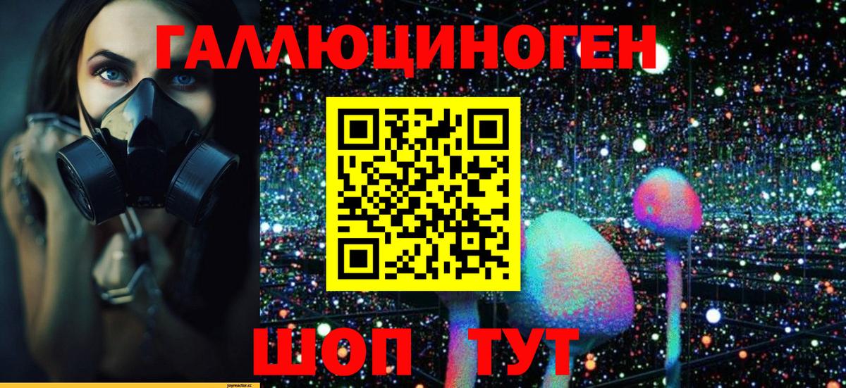 Псилоцибиновые грибы Cubensis Кировск
