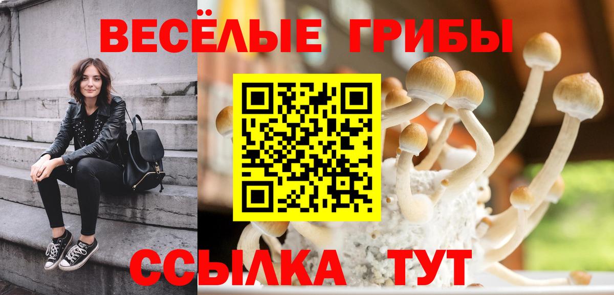 Кировск  Псилоцибиновые грибы мухоморы  Псилоцибиновые грибы Psilocybe  Вход с VPN 